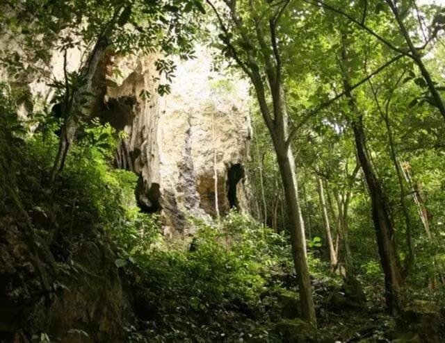Mengintip Indahnya Alam Kalimantan dari Dekat, Indonesia Itu Keren Gan!