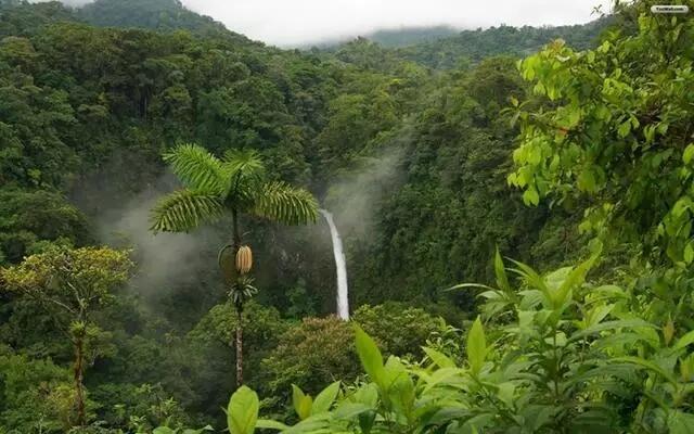 Mengintip Indahnya Alam Kalimantan dari Dekat, Indonesia Itu Keren Gan!