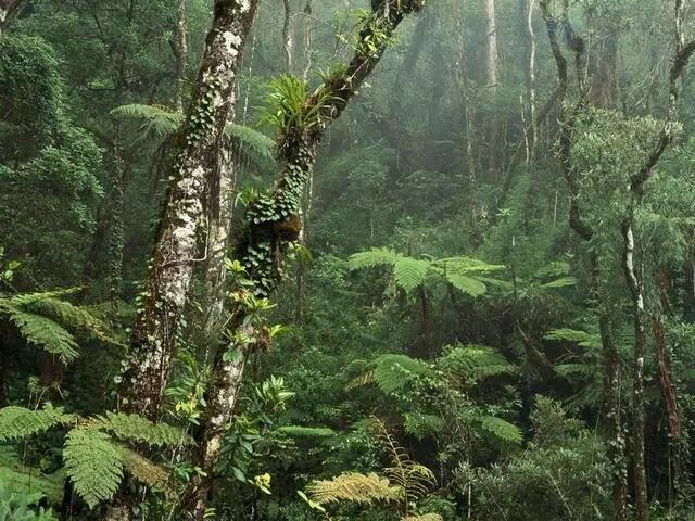 Mengintip Indahnya Alam Kalimantan dari Dekat, Indonesia Itu Keren Gan!