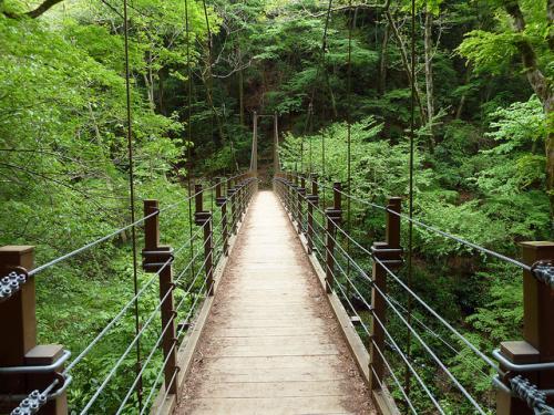 Takao-San, Gunung Paling Populer Di Tokyo