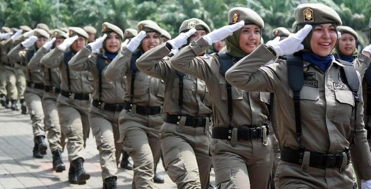 Peraturan Pemerintah Nomor 16 Tahun 2018 tentang Satuan Polisi Pamong Praja