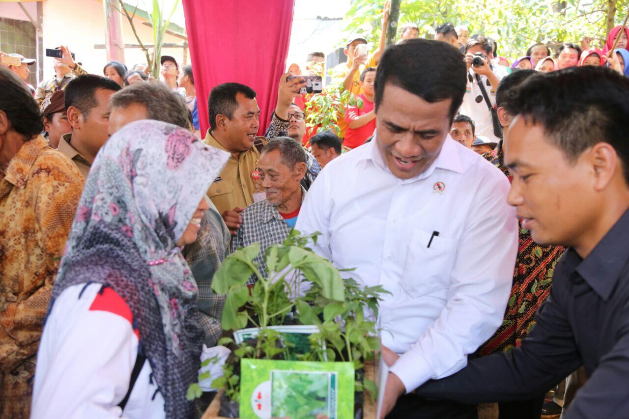 Padu Satu, Langkah Kementan Percepat Proses Izin Usaha