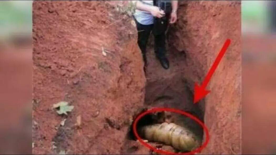 Kerajaan Ratu Rayap, Yang Hidup Bawah Tanah!!