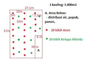 Penawaran Mitra Perkebunan Kelapa & Aren