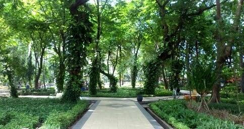 &#91;COC GL&#93; Lupakan sejenak tetang teroris, nikmati keindahan hayati di Surabaya
