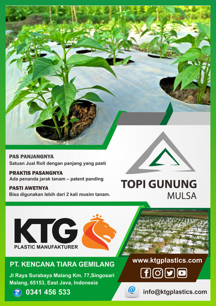 PT KENCANA TIARA GEMILANG
