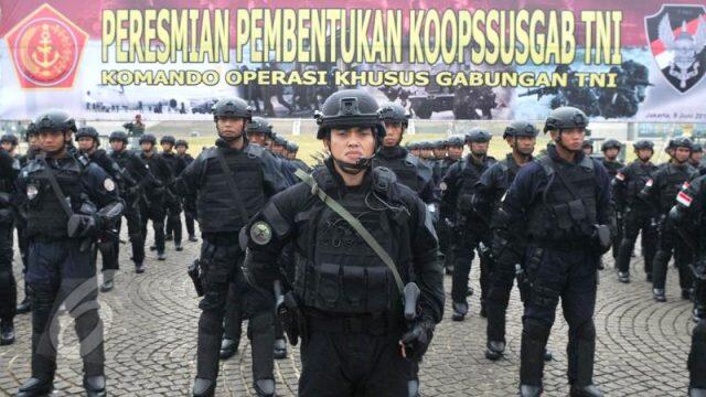 Pasukan Khusus Gabungan TNI Dibentuk Jika Situasi Sudah di Luar Kapasitas Polisi