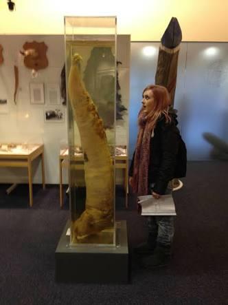 Berkunjung Ke Museum Mr.P Di Islandia