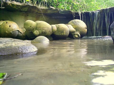 Misteri Batu Yang Bisa Tumbuh Membesar