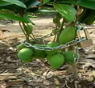 10 Tingkah Manusia Yang Bikin Geleng-Geleng Kepala!!!