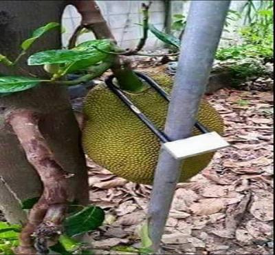 10 Tingkah Manusia Yang Bikin Geleng-Geleng Kepala!!!