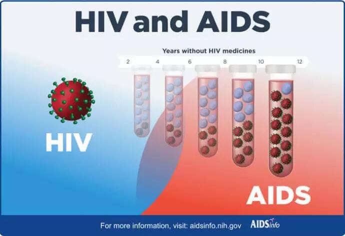 Akhirnya! Binatang Ini Menyelamatkan Manusia Dari HIV-AIDS