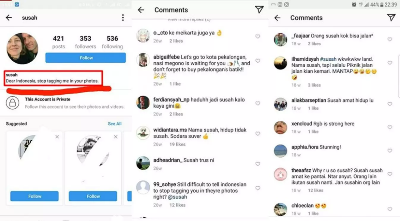 Viral Bule Bernama Susah Di Instagram Sering Kena Tag Warganet