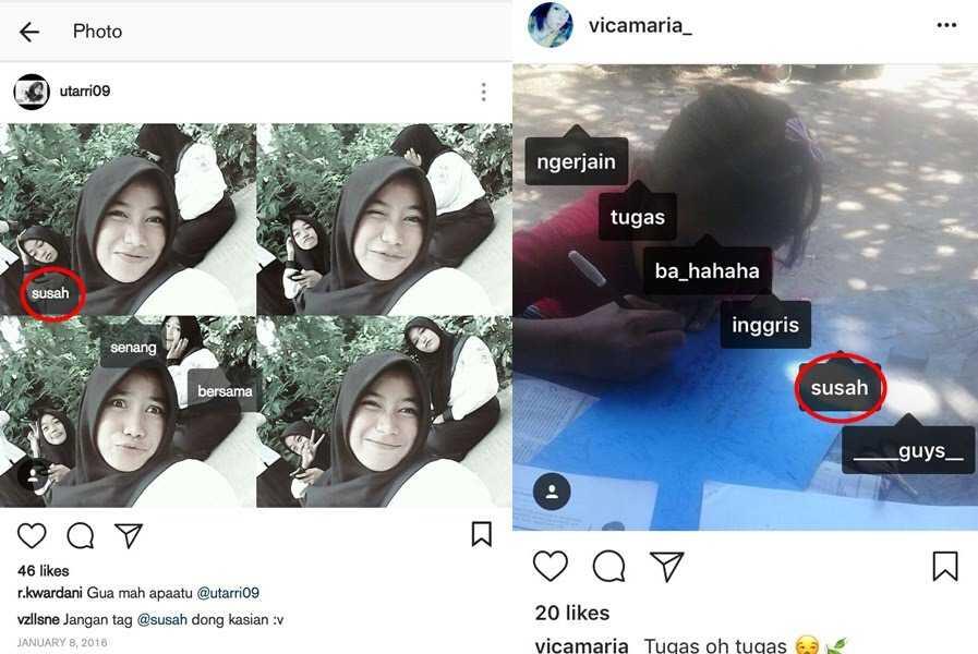 Viral Bule Bernama 'Susah' di Instagram, Sering Kena Tag Warganet Indonesia