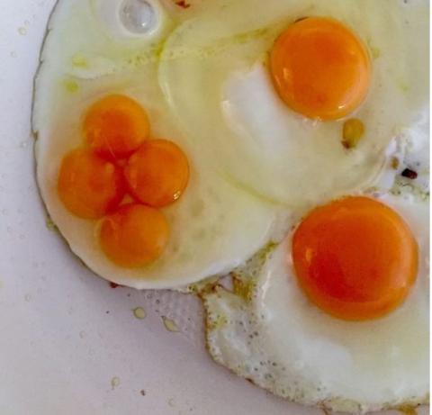 Kotoran Burung Membentuk Burung itu Sendiri, Inilah 9 Hal Unik Penuh Keanehan