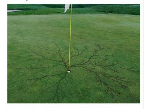 Kotoran Burung Membentuk Burung itu Sendiri, Inilah 9 Hal Unik Penuh Keanehan