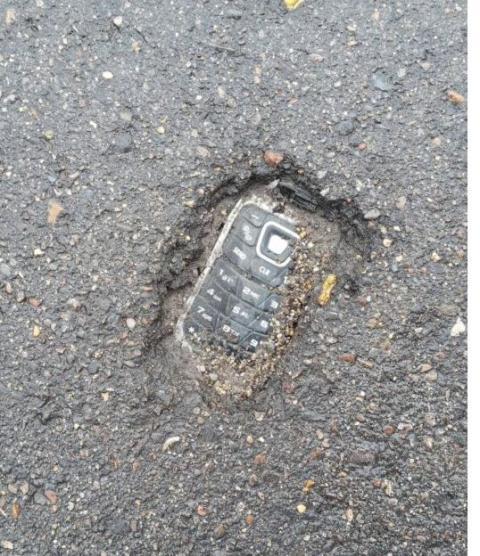 Kotoran Burung Membentuk Burung itu Sendiri, Inilah 9 Hal Unik Penuh Keanehan