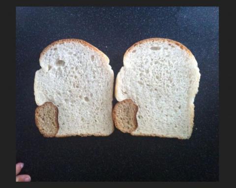 Kotoran Burung Membentuk Burung itu Sendiri, Inilah 9 Hal Unik Penuh Keanehan