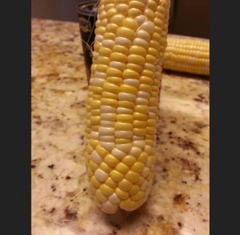 Kotoran Burung Membentuk Burung itu Sendiri, Inilah 9 Hal Unik Penuh Keanehan