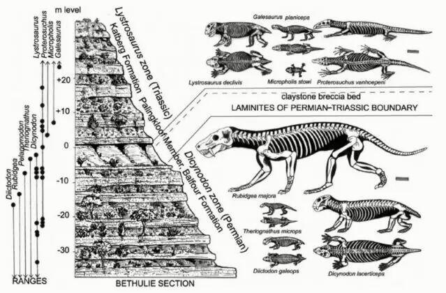 Inilah Kehancuran Terbesar di Bumi Yang Melebihi Kepunahan Dinosaurus.