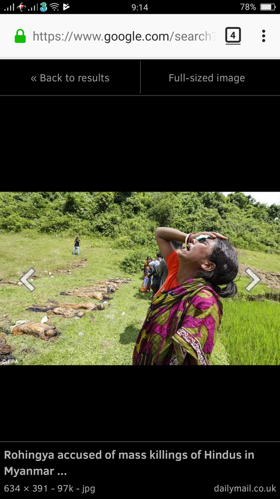 Amnesty International: Rohingya Juga Lakukan Pembantaian