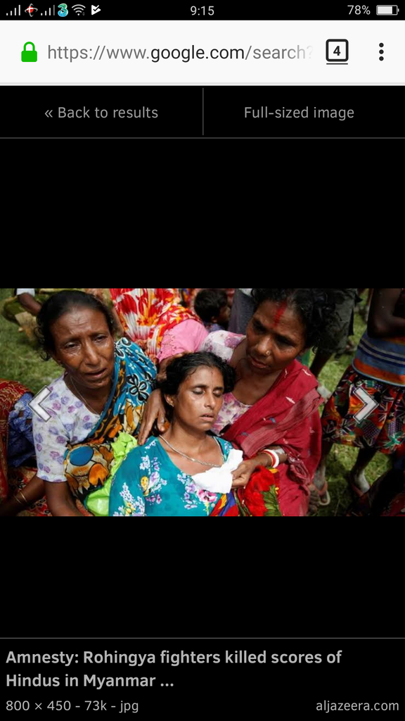 Amnesty International: Rohingya Juga Lakukan Pembantaian
