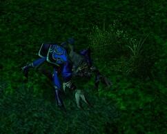 &#91;TOP 5&#93; Hero Dota Warcraft yang sering diremehkan namun bisa saja mengejutkan 