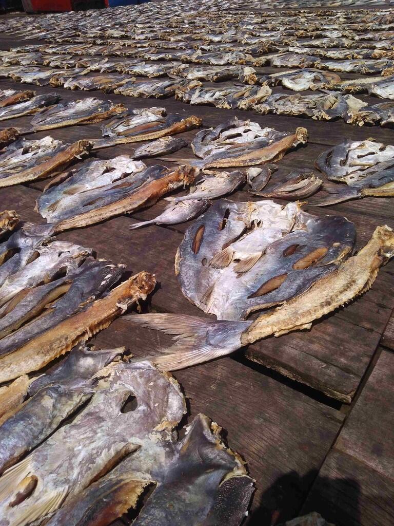 AGEN IKAN ASIN JAMBAL ROTI, MURAH, KUALITAS DIJAMIN!