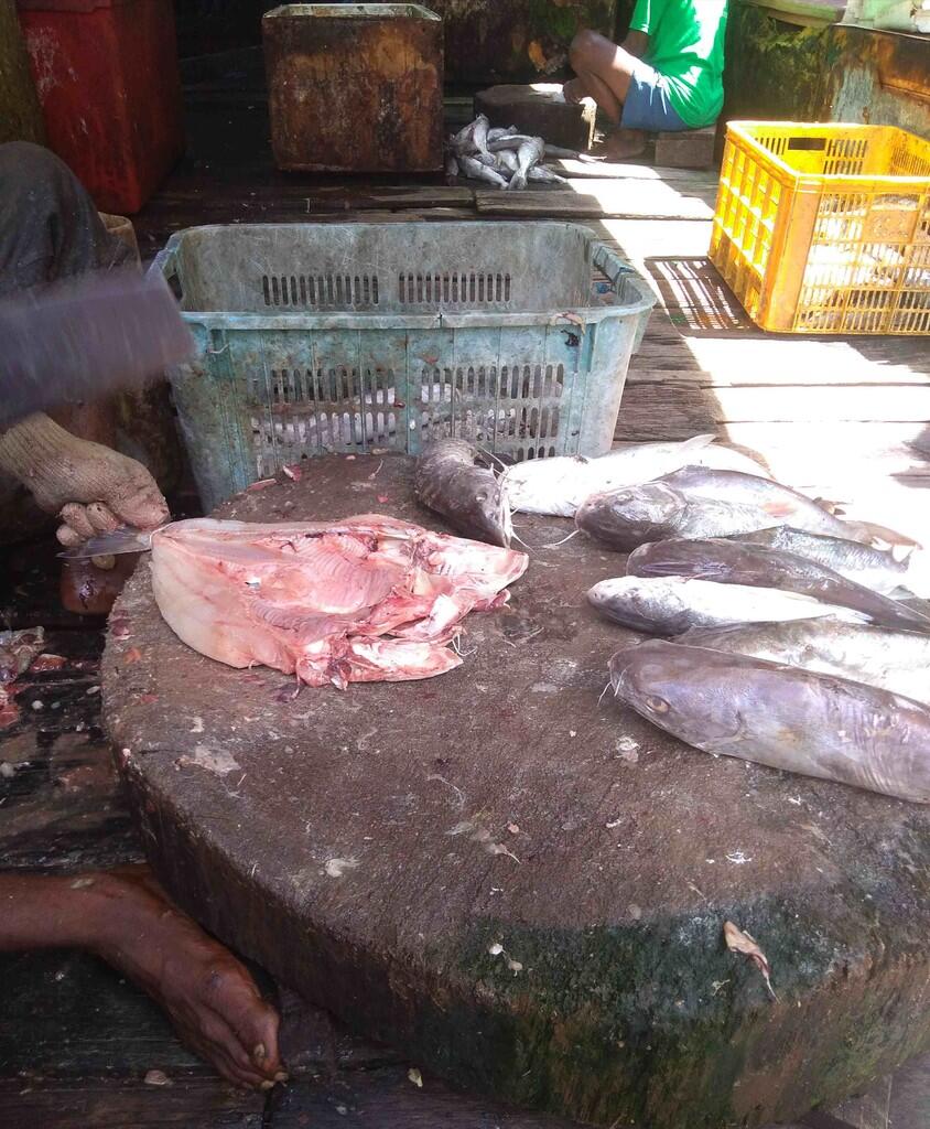 AGEN IKAN ASIN JAMBAL ROTI, MURAH, KUALITAS DIJAMIN!