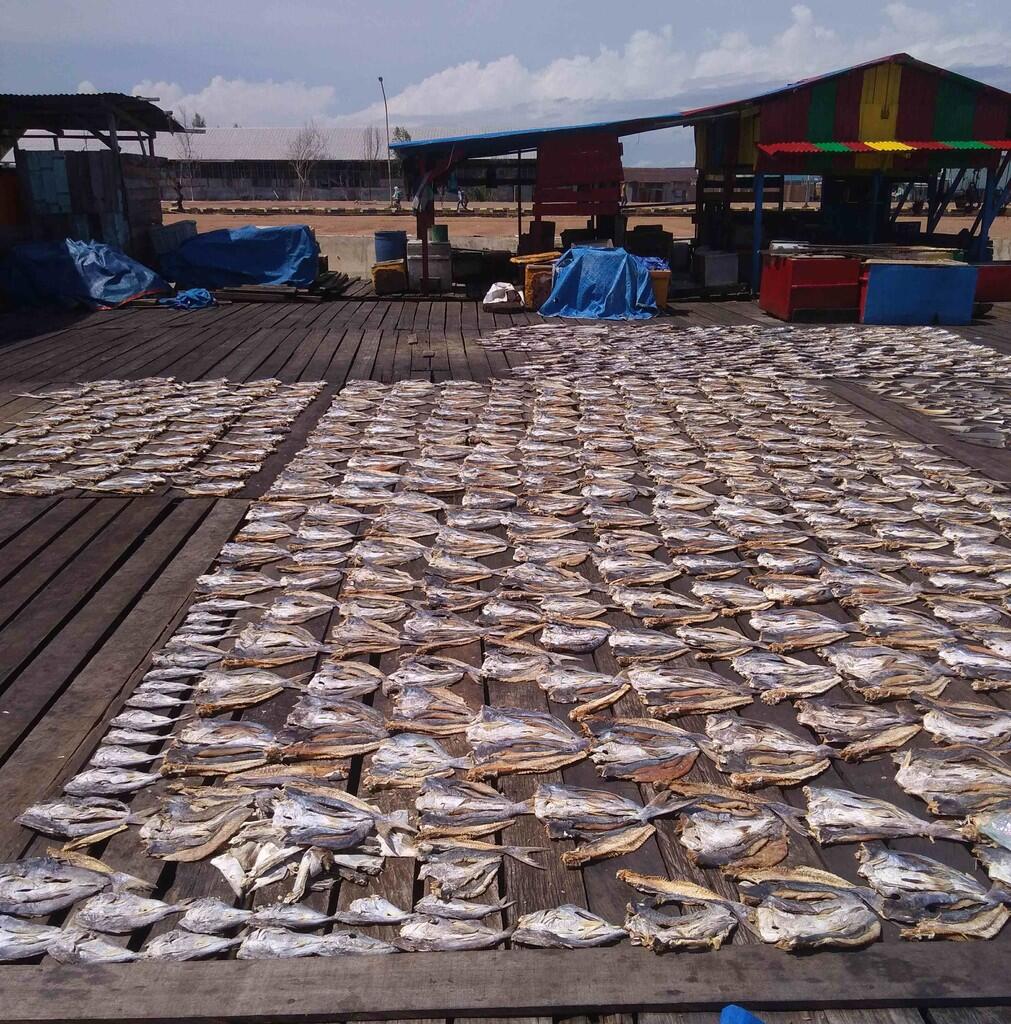 AGEN IKAN ASIN JAMBAL ROTI, MURAH, KUALITAS DIJAMIN!