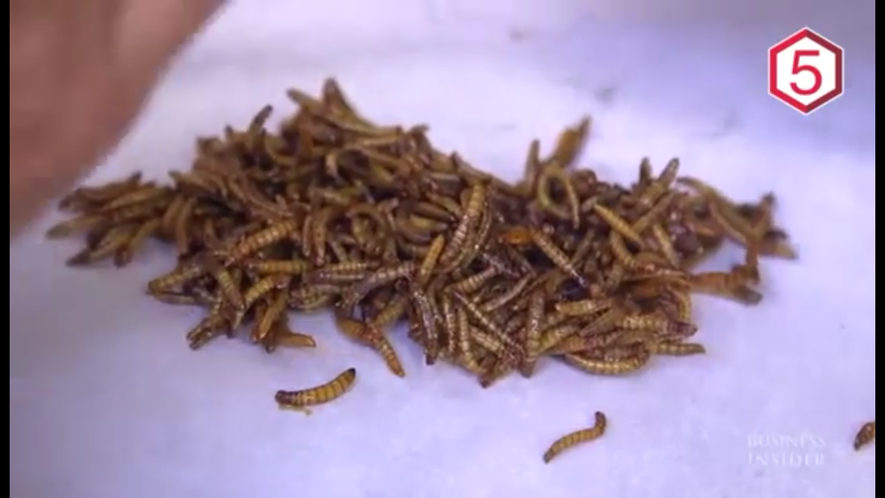 5 MAKANAN CANGGIH SEKALIGUS ANEH YANG AKAN KITA MAKAN DI MASA DEPAN!