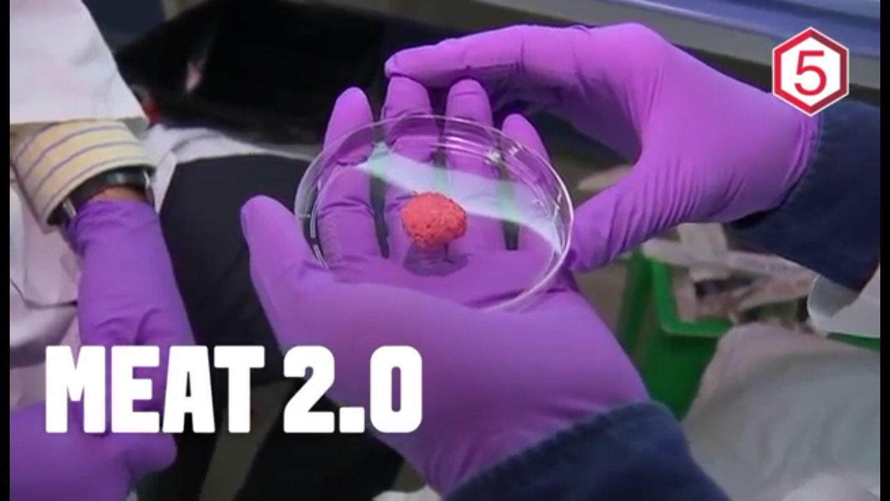 5 MAKANAN CANGGIH SEKALIGUS ANEH YANG AKAN KITA MAKAN DI MASA DEPAN!