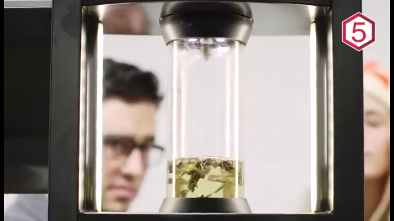 5 MAKANAN CANGGIH SEKALIGUS ANEH YANG AKAN KITA MAKAN DI MASA DEPAN!