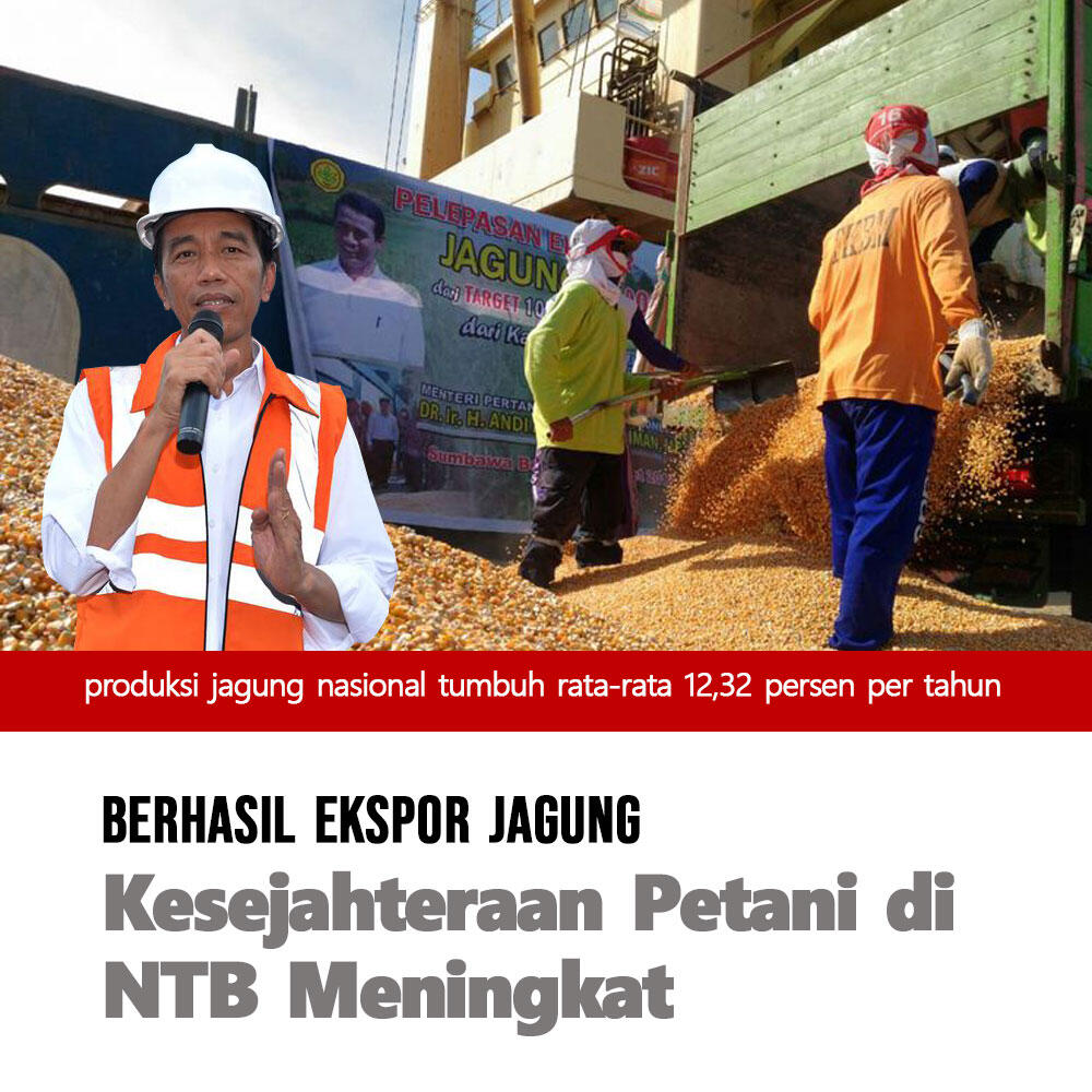 Berhasil Ekspor Jagung, Kesejahteraan Petani di NTB Meningkat