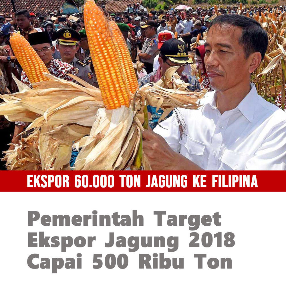 Pemerintah Target Ekspor Jagung 2018 Capai 500 Ribu Ton