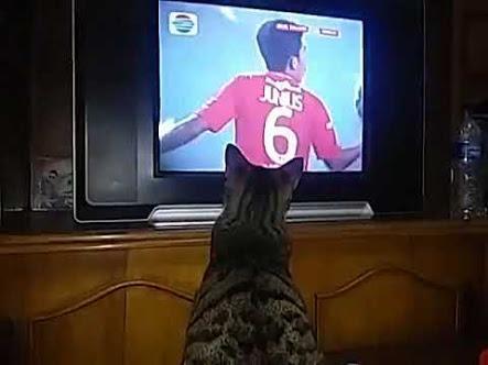 Inilah Acara TV Tetap Kamu Putar Walaupun Gak Ditonton!!