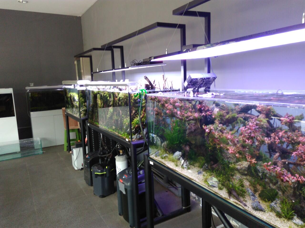 Loker wanita untuk sales toko aquariun