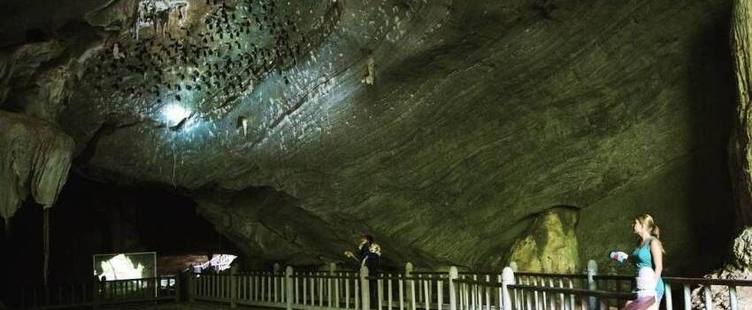 5 Aktivitas Seru di Langkawi, Mau Coba Memberi Makan Elang Liar?