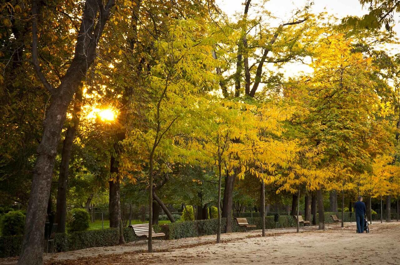 BEREKREASI KE EL PARQUE DE RETIRO MADRID