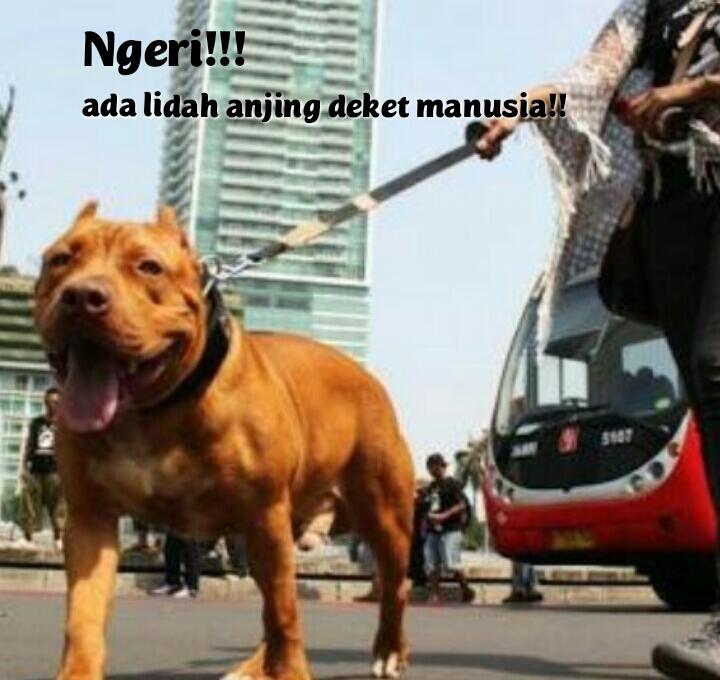 Greget!!! Meme Ini Selain Bikin Greget Juga Berpotensi Bunuh Pembacanya!