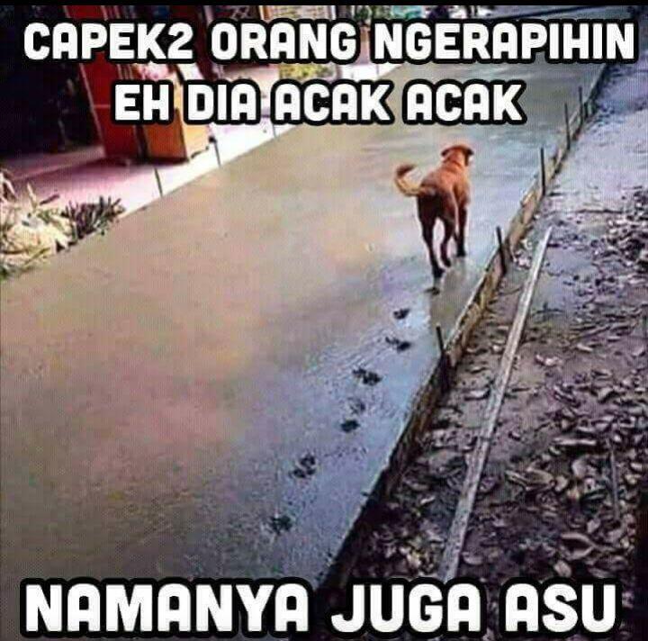 Anies Targetkan Pembangunan Rumah Permanen Kampung Akuarium 2019