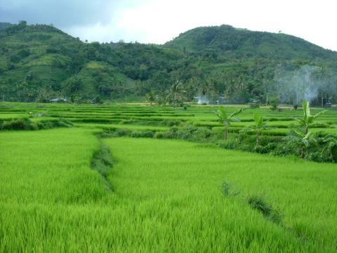 Keindahan Alam Indonesia Bagian Barat Khususnya Sumatera Barat