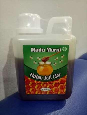 Penawaran Agen Madu Murni Hutan Jati LIar Siap Kirim Ke Seluruh Indonesia