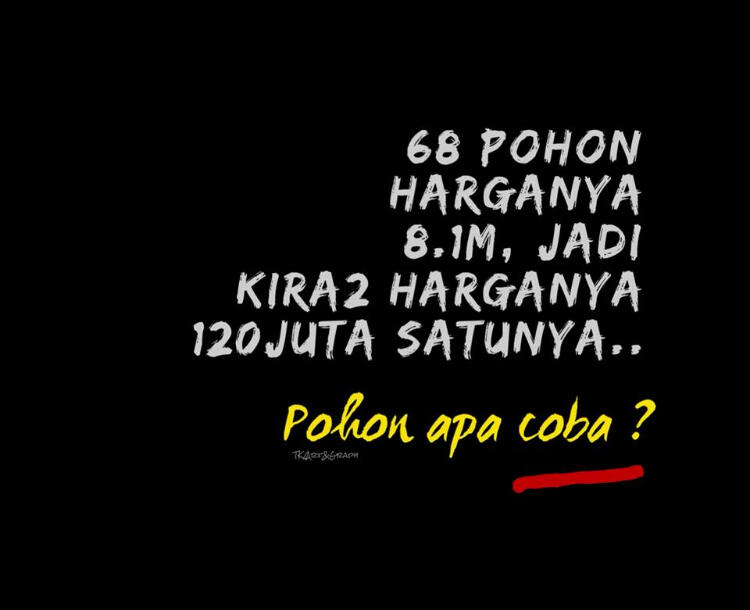 Pohon Asli di Jalan Sudirman Ditebang dan Kini Muncul Pohon Imitasi...&quot;
