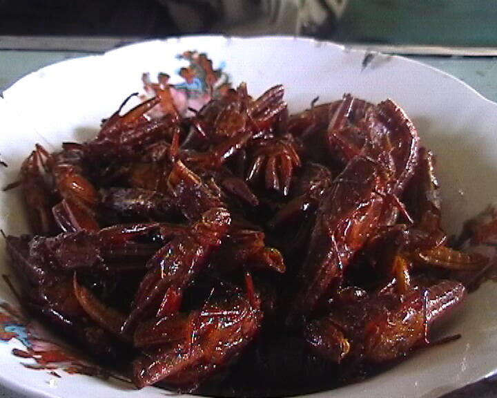 15 Kuliner Paling Joss Buat yang Mudik ke Yogyakarta