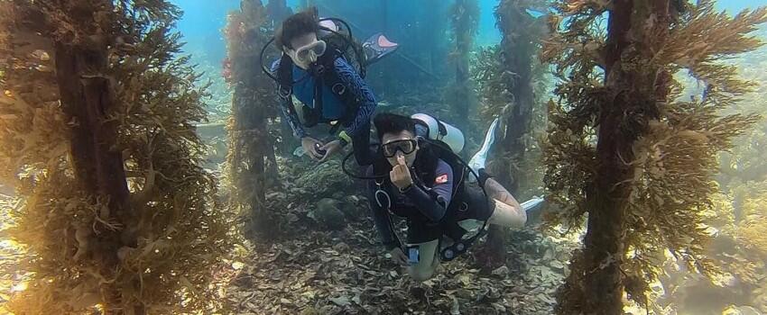 9 Potret Terbaru Nadine & Dimas Anggara, Pre Wedding Nih?