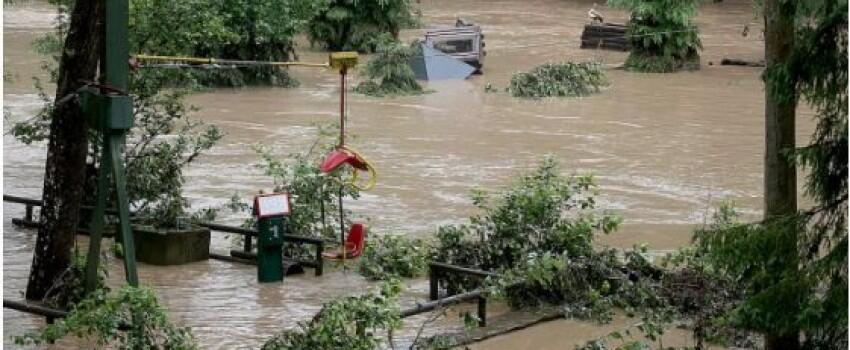 Kena Banjir, Lima Hewan Buas Kabur dari Kebun Binatang