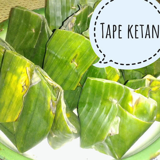 TIPS SUPAYA TAPE KETAN UNTUK BEBUKA PUWASA SEMANGKIN NIGMAT 