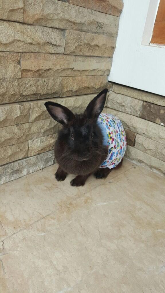 Mix ND + fuzzy lop
