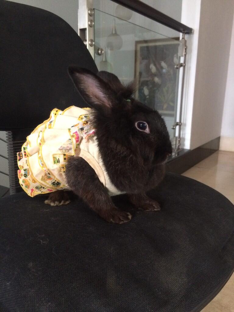 Mix ND + fuzzy lop